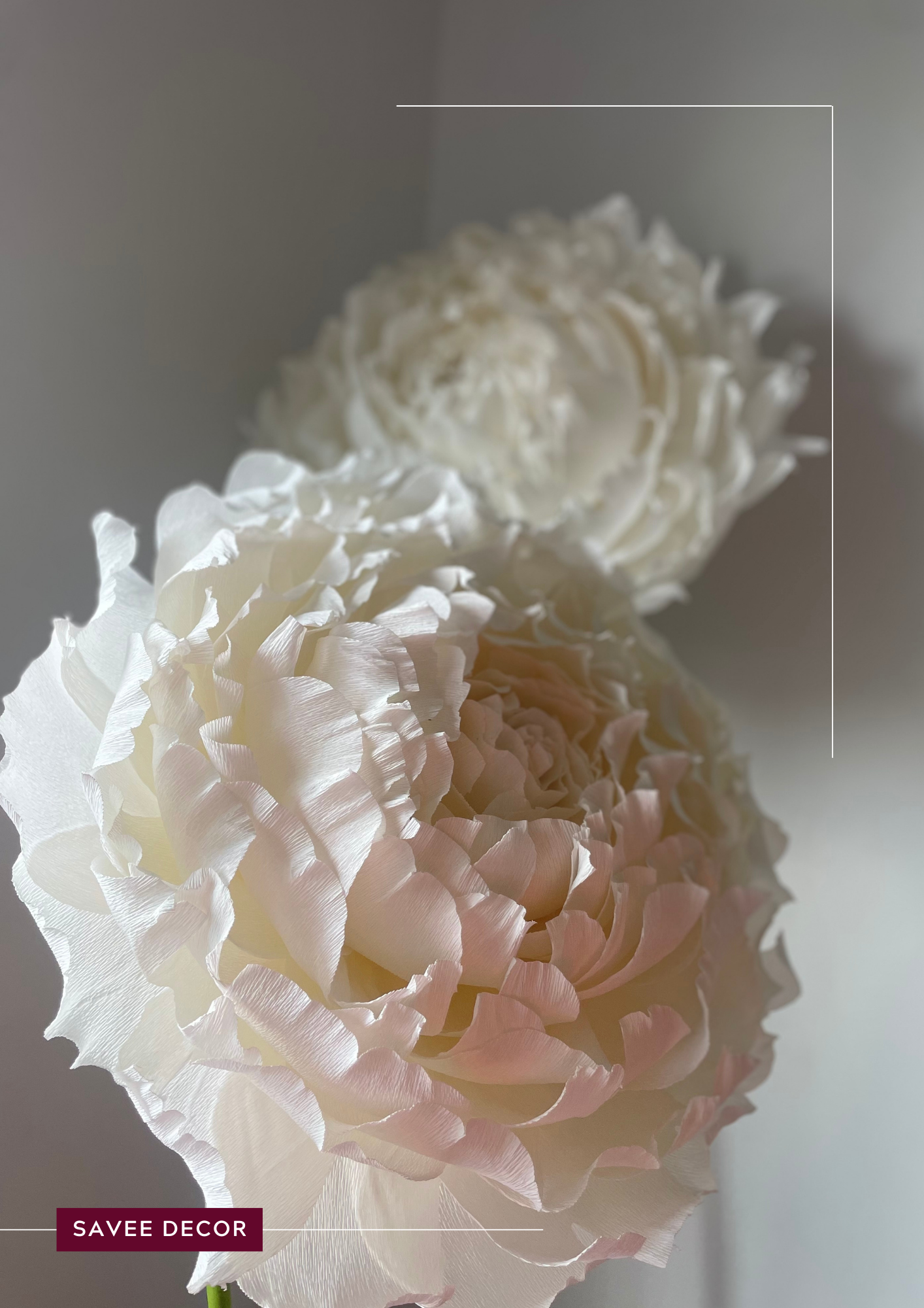 giant white peonies